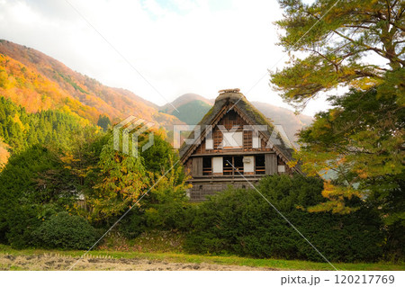 白川郷 紅葉 白川郷 紅葉 120217769