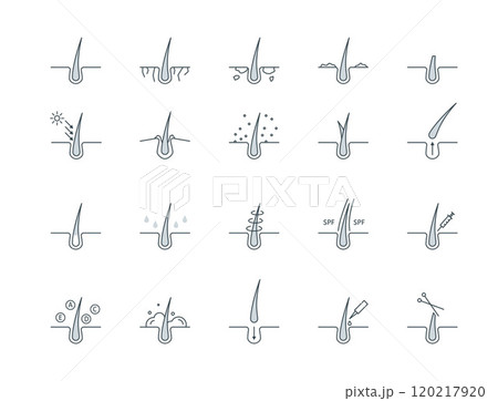 Hair Follicle Treatment Sign Black Thin Line Icon Set Cut, Shampoo, Spf, Loss, Trichology and Moisturizing. Vector illustration of Icons Hair Follicle Treatment Sign Black Thin Line Icon Set Cut, Shampoo, Spf, Loss, Trichology and Moisturizing. Vector illustration of Icons 120217920