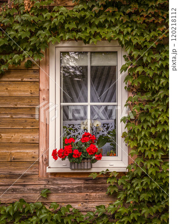 Charming Wooden Cottage With Ivy and Floral Window Decor Charming Wooden Cottage With Ivy and Floral Window Decor 120218112