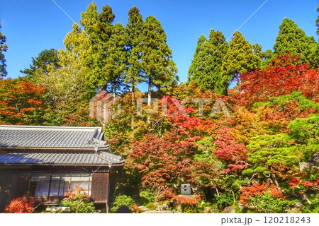 紅葉に 包まれた秋の山寺i 120218243