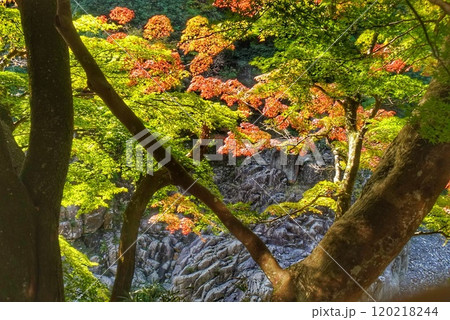 紅葉のある風景 120218244