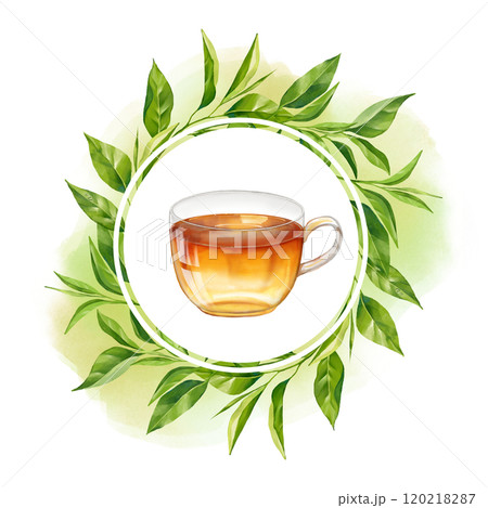 Cup of tea and round frame with tea leaves. Hand drawn illustration Cup of tea and round frame with tea leaves. Hand drawn illustration 120218287