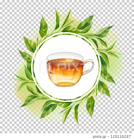 Cup of tea and round frame with tea leaves. Hand drawn illustration Cup of tea and round frame with tea leaves. Hand drawn illustration 120218287