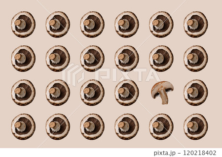 Champignon mushrooms. Pattern collage isolated 120218402