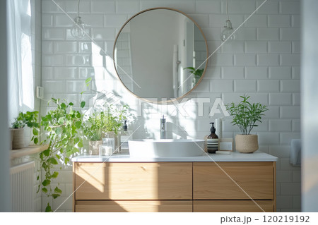 Sunlight illuminating plants in a modern bathroom with white tiles and wooden furniture 120219192