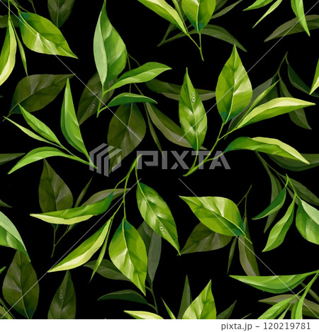 Seamless pattern with green tea leaves. Floral background Seamless pattern with green tea leaves. Floral background 120219781