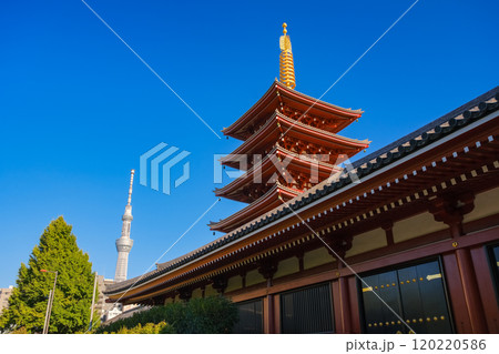 東京都台東区 浅草寺 五重塔と東京スカイツリー 120220586