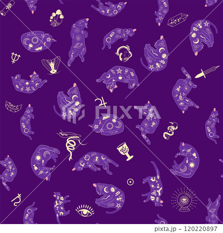 Mystical seamless pattern of cats in boho style, silhouette collection. Witchcraft and magic Mystical seamless pattern of cats in boho style, silhouette collection. Witchcraft and magic 120220897