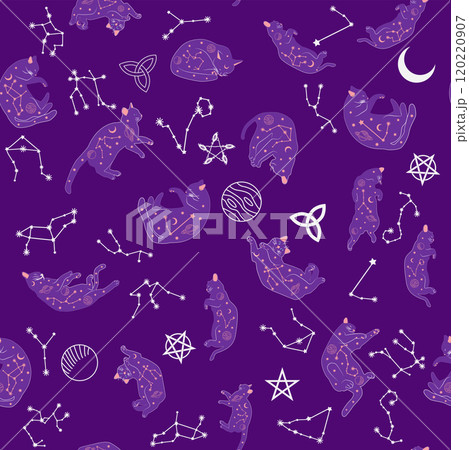 Mystical seamless pattern of cats in boho style, silhouette collection. Witchcraft and magic 120220907