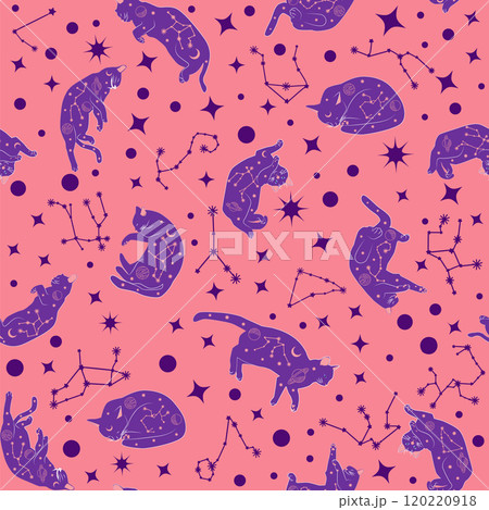 Mystical seamless pattern of cats in boho style, silhouette collection. Witchcraft and magic 120220918
