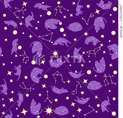 Mystical seamless pattern of cats in boho style, silhouette collection 120220947