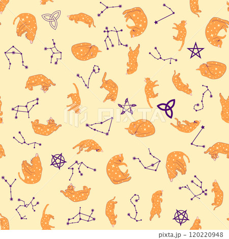Mystical seamless pattern of cats in boho style, silhouette collection Mystical seamless pattern of cats in boho style, silhouette collection 120220948