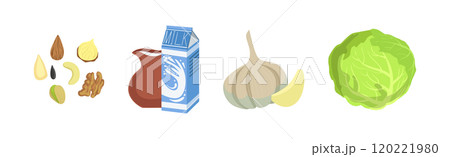 Different Food and Healthy Product Object Vector Set Different Food and Healthy Product Object Vector Set 120221980
