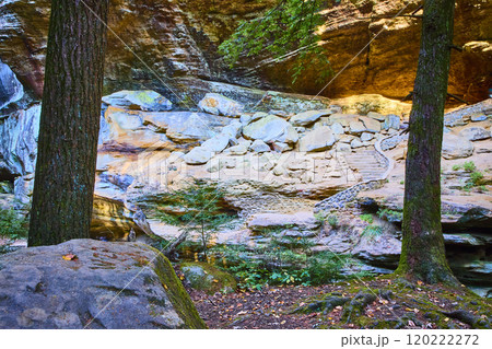 Serene Woodland Stairs Hocking Hills Ohio Morning Tranquility 120222272