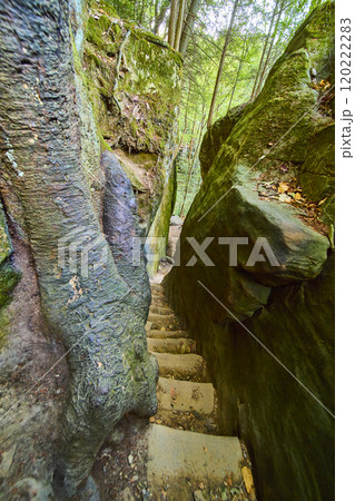 Cantwell Cliffs Staircase Through Mossy Rocks Aerial Look Down 120222283