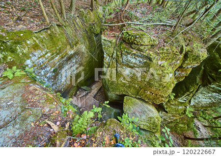 Mossy Rocks and Forest Pathway at Cantwell Cliffs Ohio Eye-Level View 120222667
