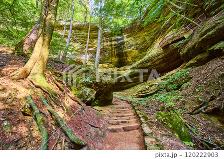 Hocking Hills Forest Trail with Stairs Aerial Perspective 120222903