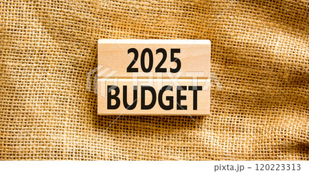 Planning 2025 budget new year symbol. Concept words 2025 Budget on beautiful wooden blocks. Beautiful canvas background. Business 2025 budget new year concept. Copy space. Planning 2025 budget new year symbol. Concept words 2025 Budget on beautiful wooden blocks. Beautiful canvas background. Business 2025 budget new year concept. Copy space. 120223313