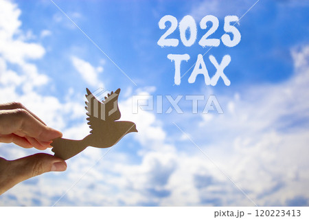Planning 2025 tax new year symbol. Concept words 2025 Tax on beautiful blue sky. Beautiful blue sky clouds background. Hand holds wooden bird. Business 2025 tax new year concept. Copy space. Planning 2025 tax new year symbol. Concept words 2025 Tax on beautiful blue sky. Beautiful blue sky clouds background. Hand holds wooden bird. Business 2025 tax new year concept. Copy space. 120223413