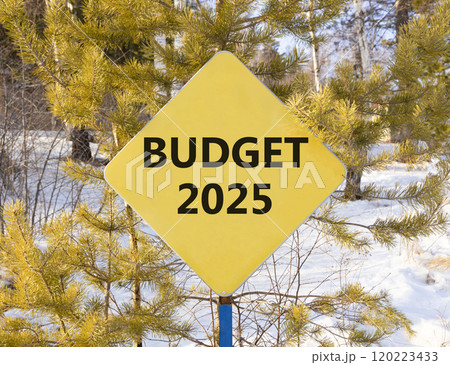 Planning budget 2025 new year symbol. Concept words Budget 2025 on beautiful yellow road sign. Beautiful winter forest background. Business budget 2025 new year concept. Copy space. 120223433