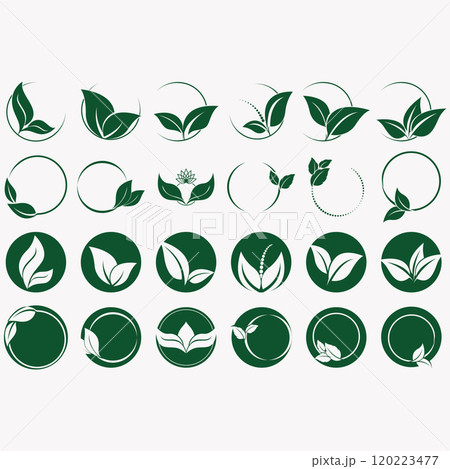 Collection of leaf logos Collection of leaf logos 120223477