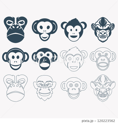 collection of monkey logo 120223562