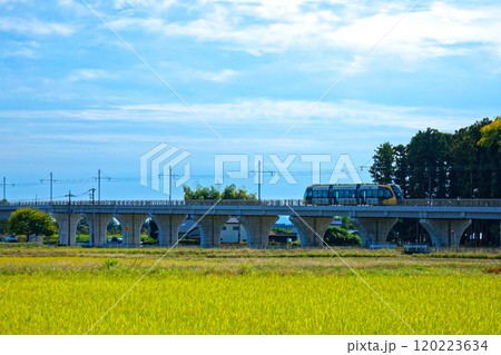芳賀・宇都宮LRT ライトラインと田園風景 芳賀・宇都宮LRT ライトラインと田園風景 120223634