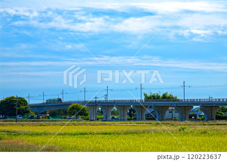 芳賀・宇都宮LRT ライトラインと田園風景 芳賀・宇都宮LRT ライトラインと田園風景 120223637