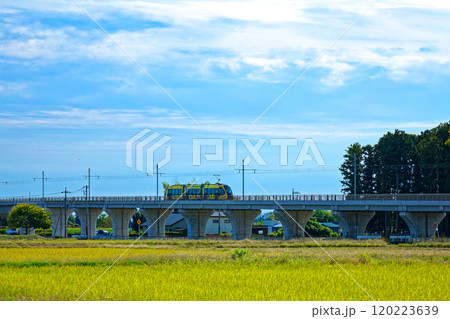 芳賀・宇都宮LRT ライトラインと田園風景 芳賀・宇都宮LRT ライトラインと田園風景 120223639