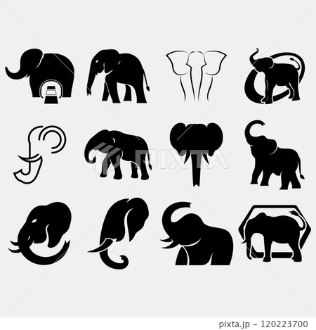 Elephant icon set 120223700