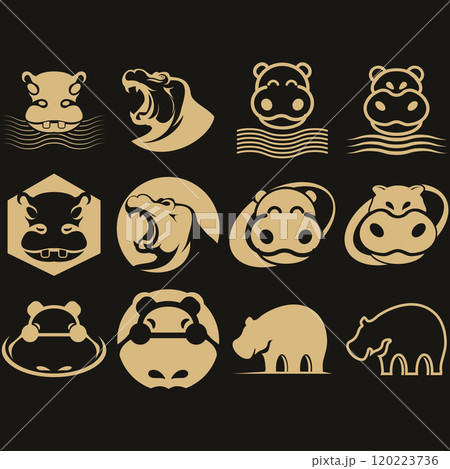 collection of Hippopotamus collection of Hippopotamus 120223736