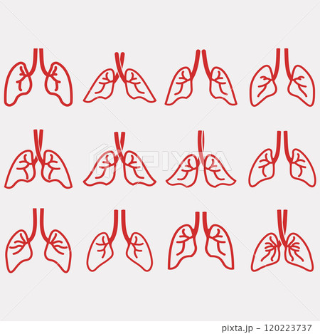 collection of lungs collection of lungs 120223737