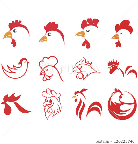 collection of chicken logos 120223746