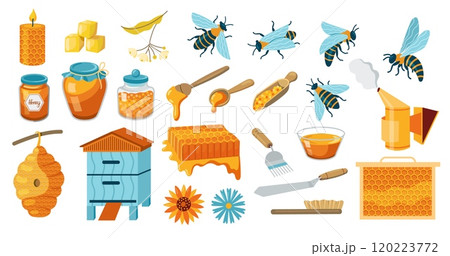 Honey and apiary products. Beekeeping bee honeybee products, beehive honeycomb beekeeper tools, glass jar with liquid nectar. Vector cartoon set 120223772