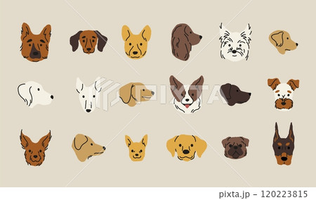 Cartoon dog heads. Funny puppy face icons, cute domestic animals different breeds heads, funny dog face mascot. Vector isolated collection Cartoon dog heads. Funny puppy face icons, cute domestic animals different breeds heads, funny dog face mascot. Vector isolated collection 120223815