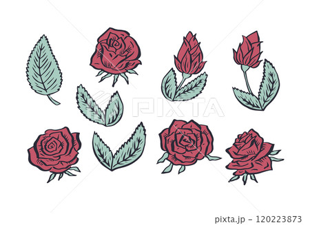 Hand drawn red rose flowers and leaves outlines set isolated on white background 120223873