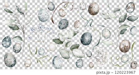 Watercolor Easter clip art with eucalyptus leaves and quail eggs drawing on isolated background. Hand drawn clipart branches plants. Botanical greenery holiday elements foliage for icon or logo. 120223967