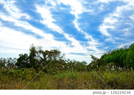 鬼怒川の川原と青空　芳賀・宇都宮LRT 120224216