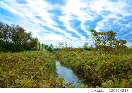 鬼怒川の川原と青空　芳賀・宇都宮LRT 120224218