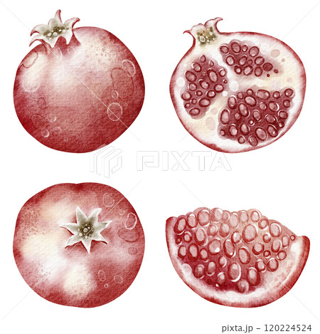Watercolor illustration red pomegranate close-up on isolated background. Hand drawn fresh fruit garnet. Elements juicy food for icon or logo. 120224524