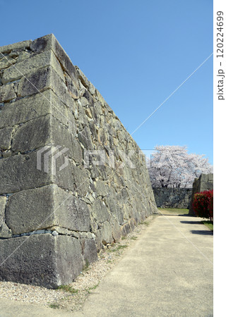 春の津山城 天守台の石垣 岡山県津山市 春の津山城 天守台の石垣 岡山県津山市 120224699