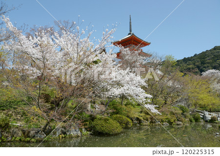 春の清水寺 三重塔 京都市東山区 春の清水寺 三重塔 京都市東山区 120225315