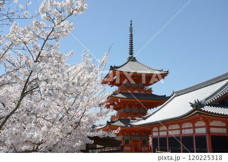 春の清水寺 三重塔 京都市東山区 春の清水寺 三重塔 京都市東山区 120225318