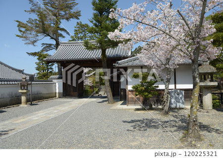 春の清水寺　北総門　京都市東山区 120225321