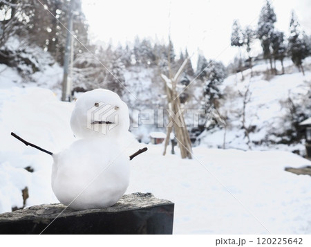 子どもが作った可愛い雪だるま 120225642