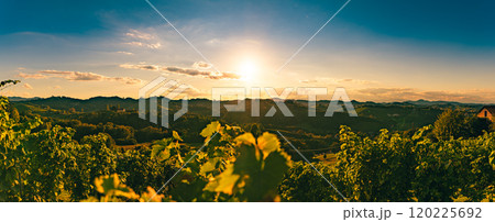 Vineyards along the South Styrian Wine Road in Summer, Austria Europe. 120225692