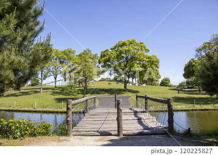 海南こどもの国 公園 120225827