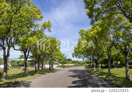海南こどもの国 公園 120225835