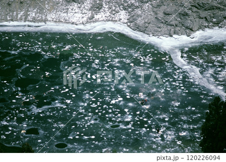 湖面が凍り始めた深い緑の湖水 120226094