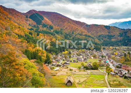 白川郷　紅葉 120226297